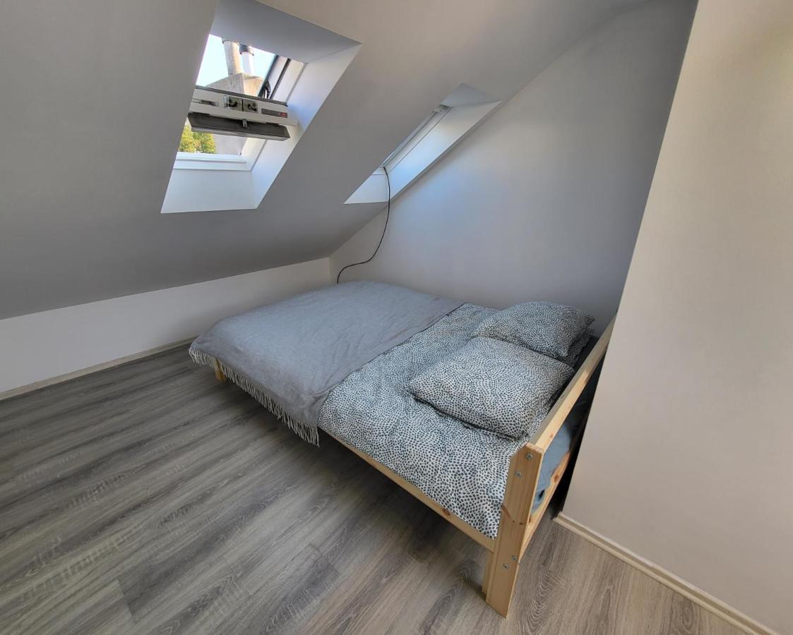 Excellent Apartments Central 3 Min Walk From The Colonnade Karlovy Vary Extérieur photo