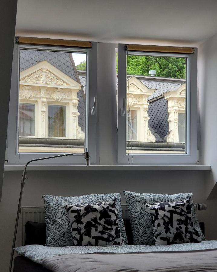 Excellent Apartments Central 3 Min Walk From The Colonnade Karlovy Vary Extérieur photo