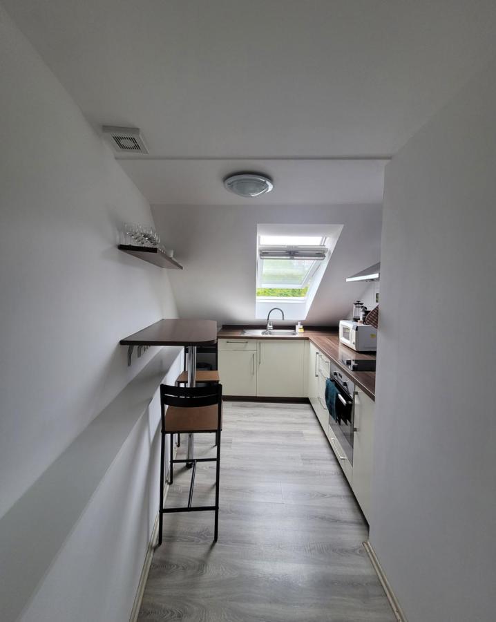 Excellent Apartments Central 3 Min Walk From The Colonnade Karlovy Vary Extérieur photo